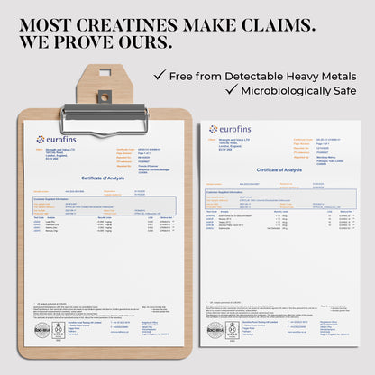 STRVLUE Creatine Sachets – Unflavoured